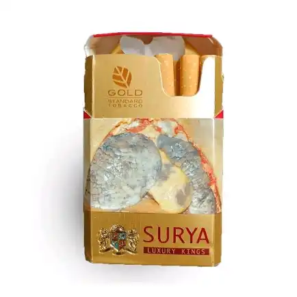 Surya Red/Light