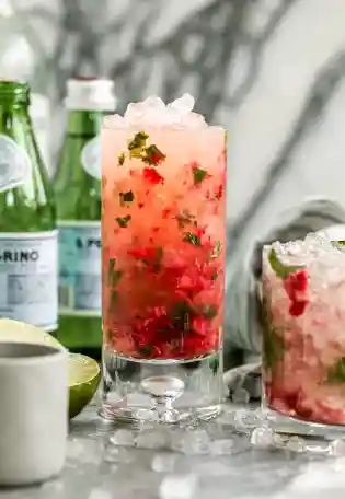 Watermelon Mojito